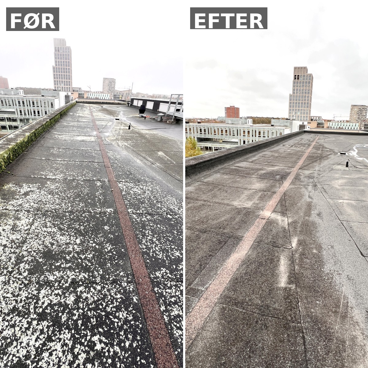 Fliserens før og efter rensning af tagterrasse for alger og mos